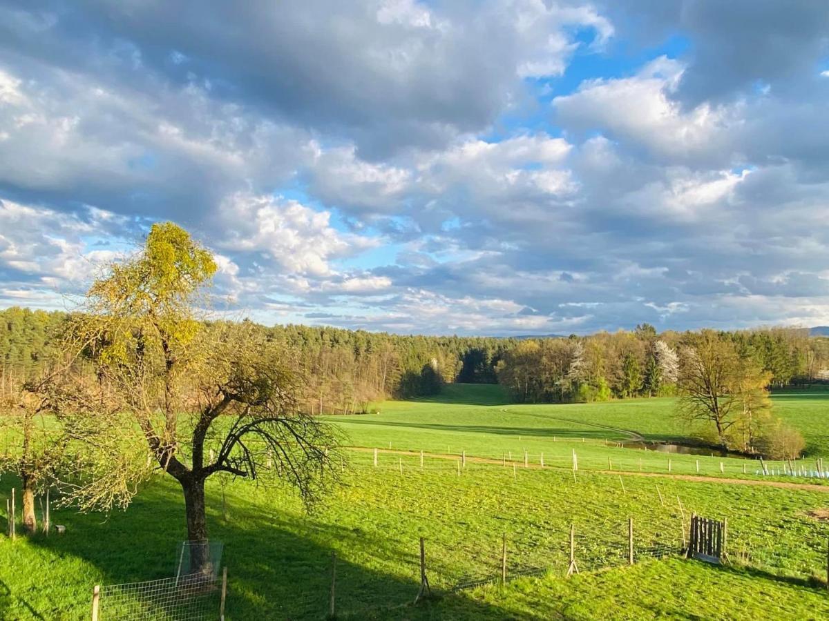 Vila Lebenshof Varm - Die Vegane Farm Sulb Exteriér fotografie