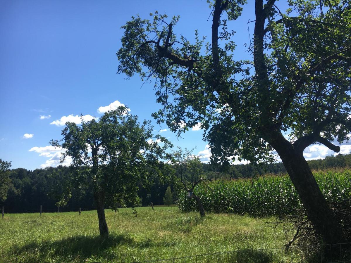 Vila Lebenshof Varm - Die Vegane Farm Sulb Exteriér fotografie