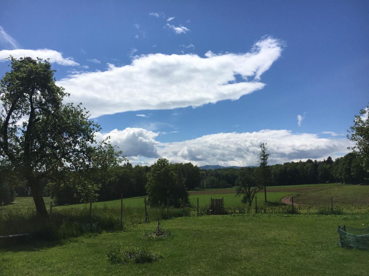 Vila Lebenshof Varm - Die Vegane Farm Sulb Exteriér fotografie