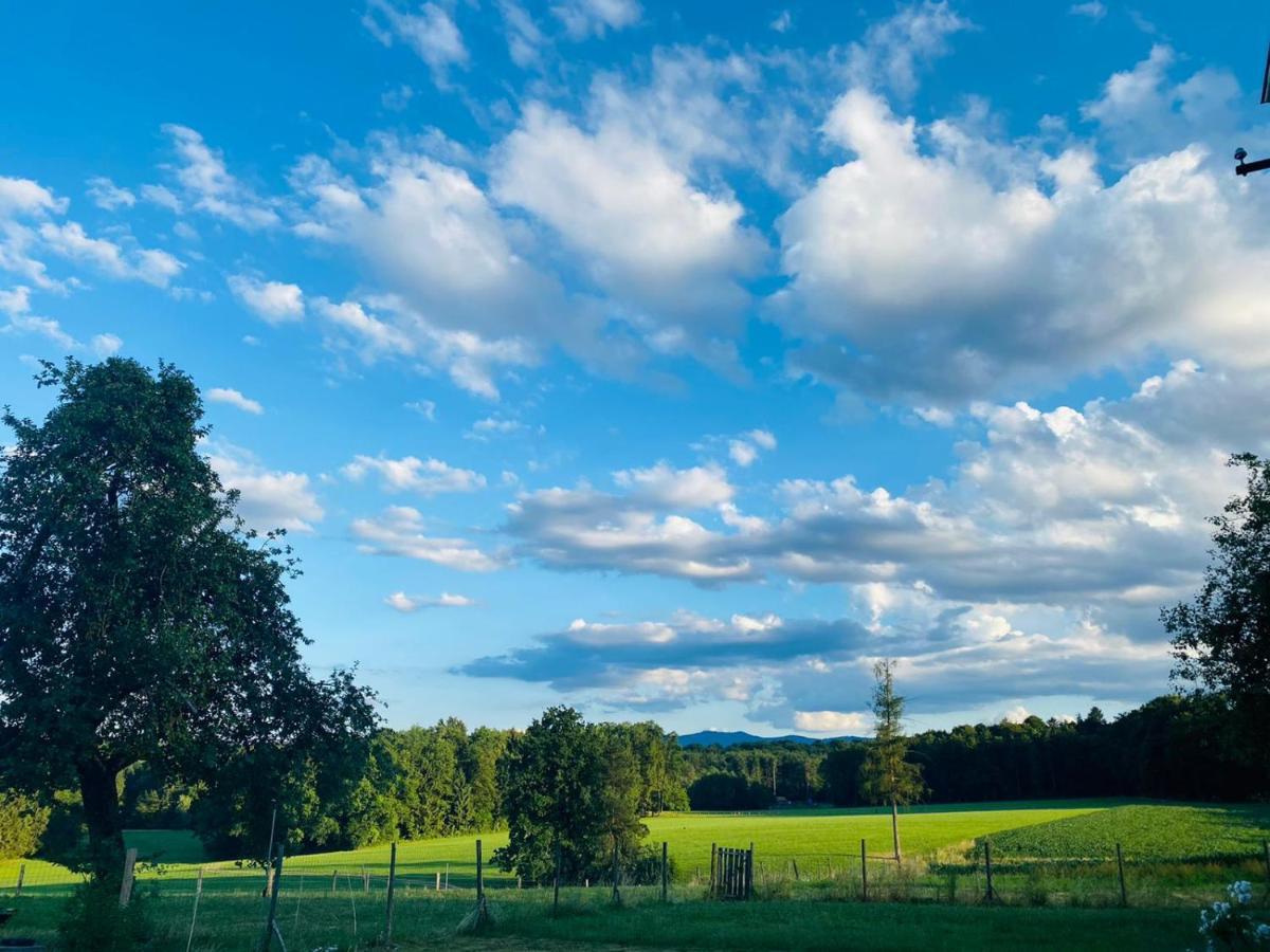 Vila Lebenshof Varm - Die Vegane Farm Sulb Exteriér fotografie